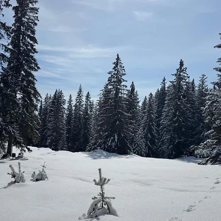 Апартамент Pirin Park