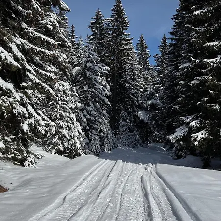 Апартамент Pirin Park