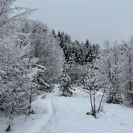 Pirin Park Апартамент *